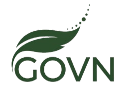 Govn